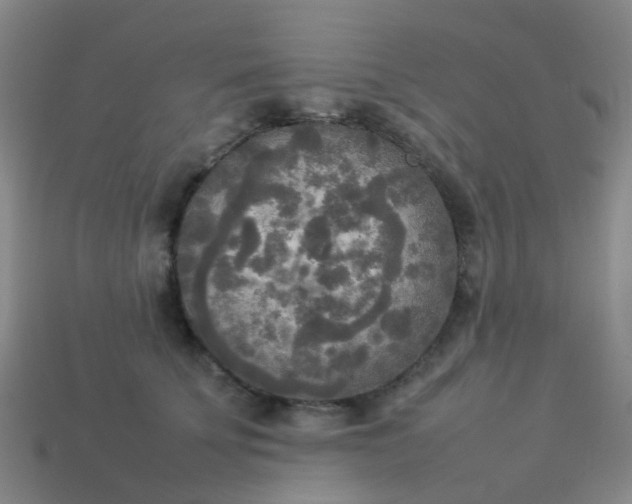 X0000114110707200910191702