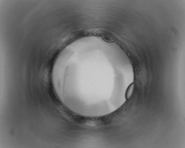 X0000114110708200910191702