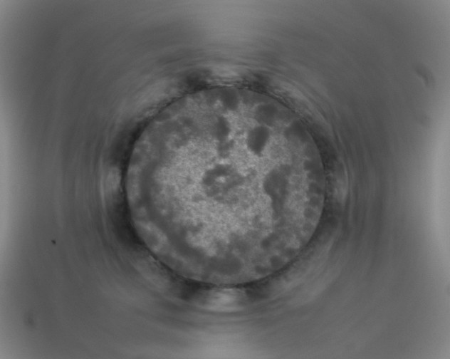 X0000114110711200910191702