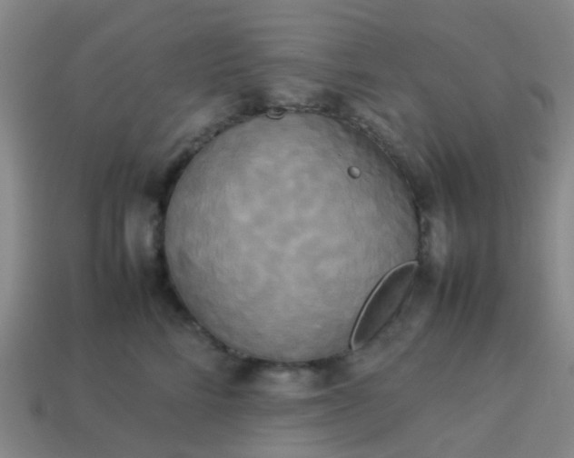 X0000114110712200910191702