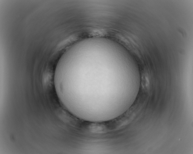 X0000114110714200910191702