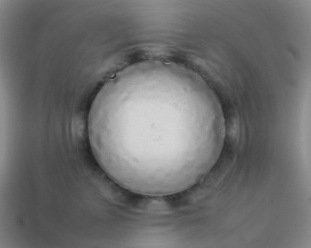 X0000114110715200910191702