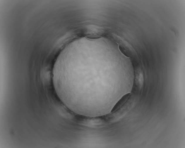 X0000114110716200910191702