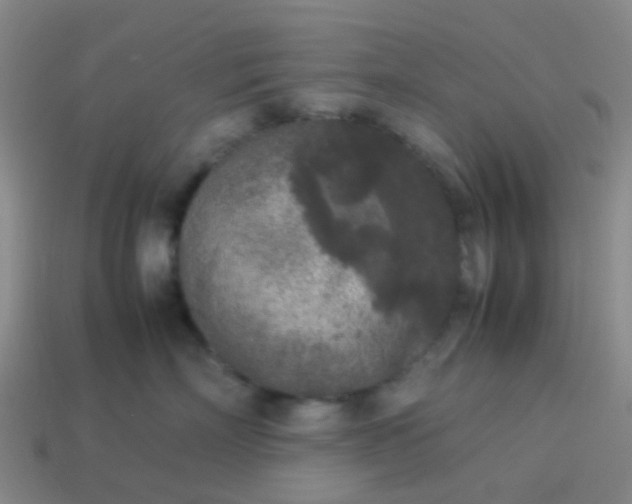 X0000114110718200910191702