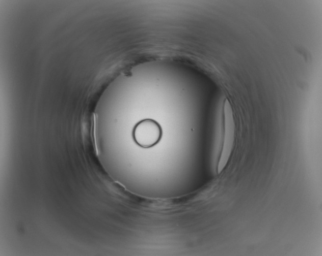 X0000114110720200910191702