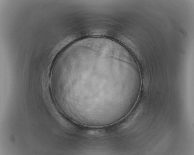 X0000114110721200910191702