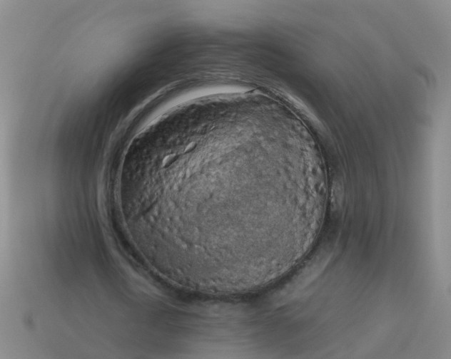 X0000114110722200910191702