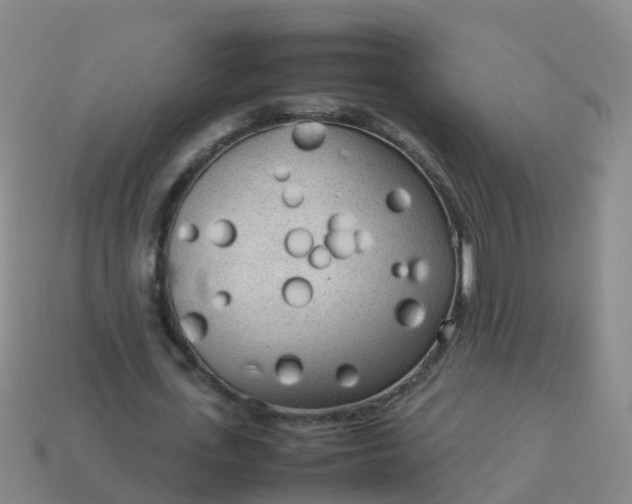 X0000114110723200910191702