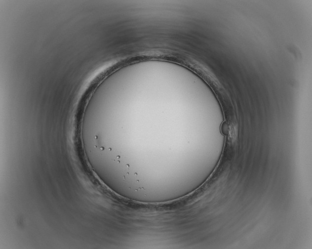 X0000114110724200910191702