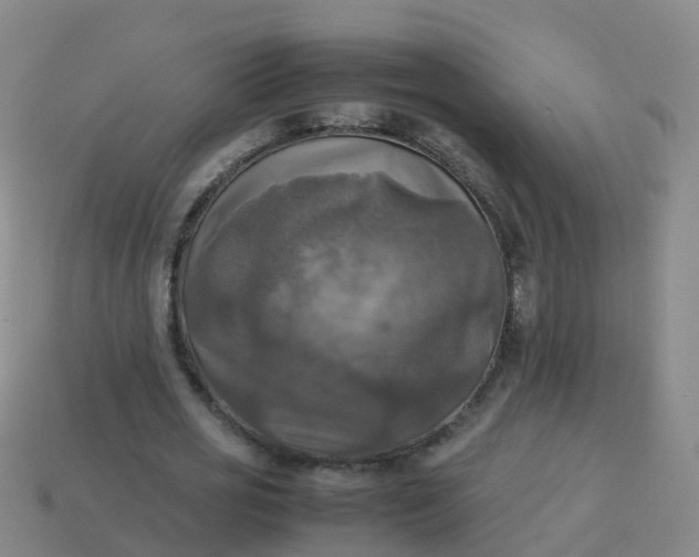 X0000114110725200910191702