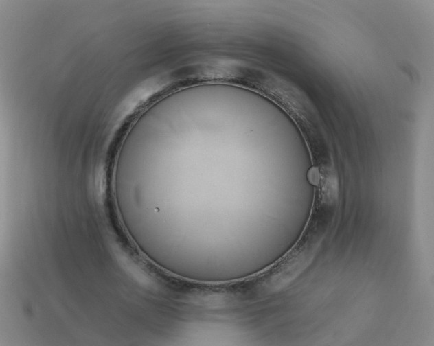 X0000114110726200910191702