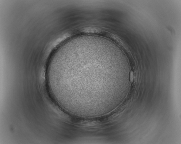 X0000114110727200910191702