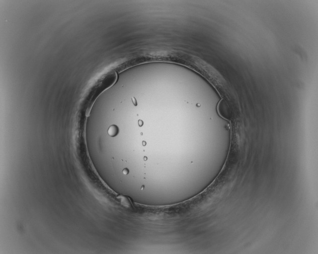 X0000114110728200910191702