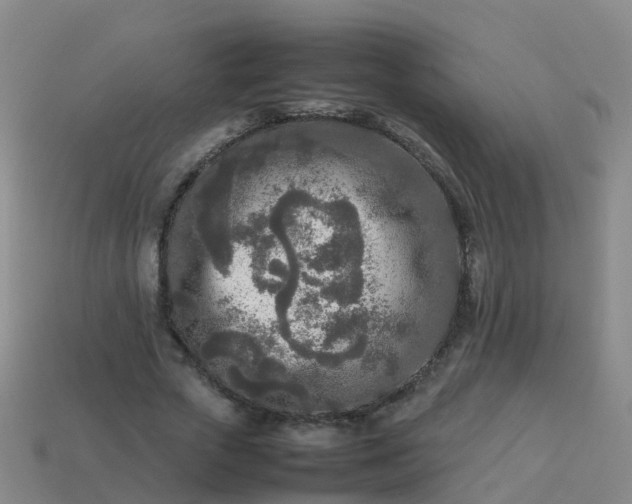 X0000114110729200910191702