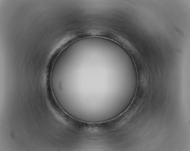 X0000114110730200910191702