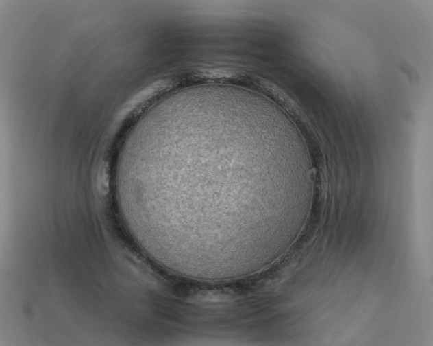 X0000114110731200910191702