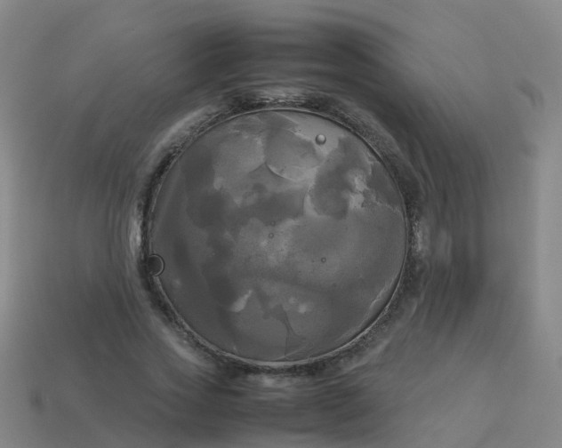 X0000114110733200910191702