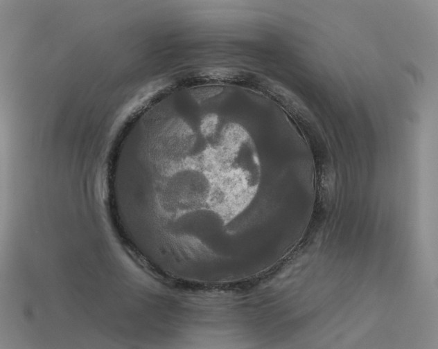 X0000114110734200910191702