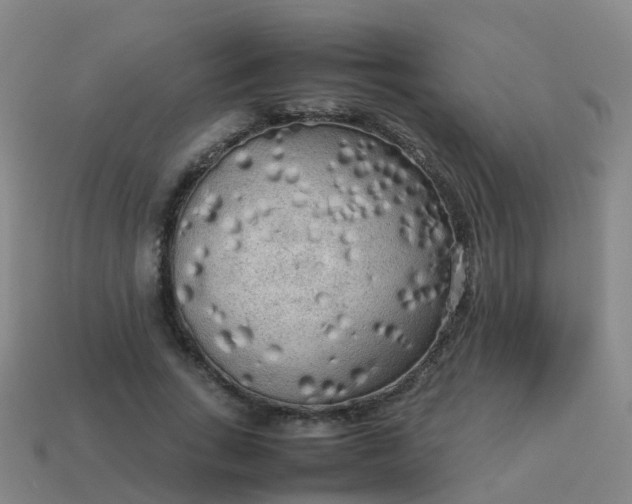 X0000114110735200910191702