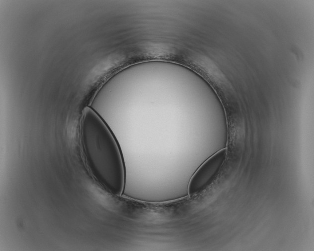 X0000114110736200910191702