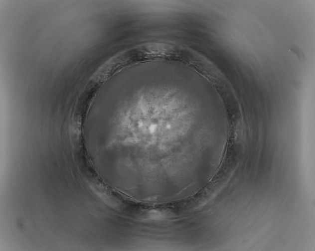 X0000114110737200910191702