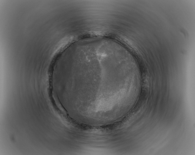 X0000114110738200910191702