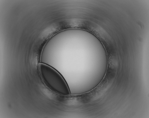 X0000114110740200910191702