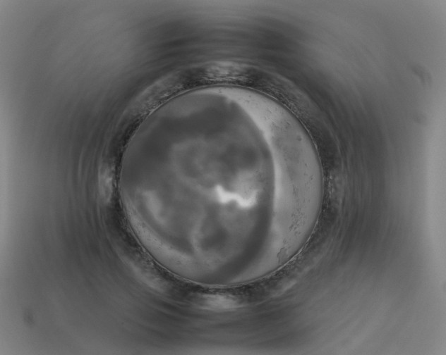 X0000114110741200910191702