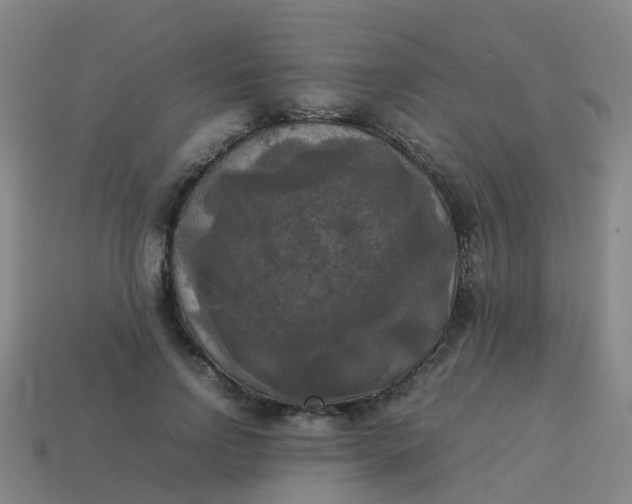 X0000114110742200910191702