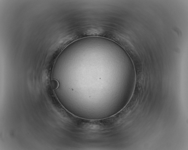 X0000114110743200910191702