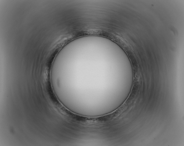 X0000114110744200910191702