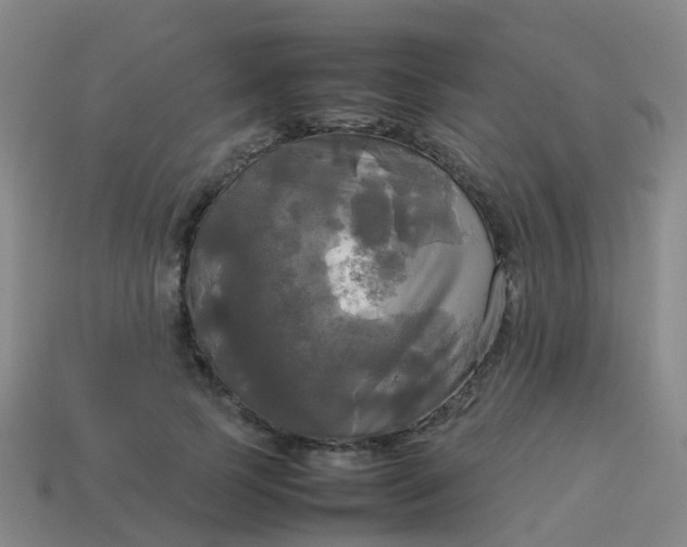 X0000114110745200910191702