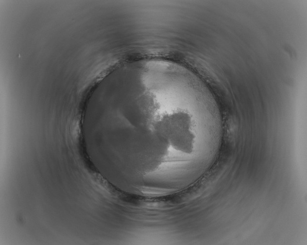 X0000114110746200910191702