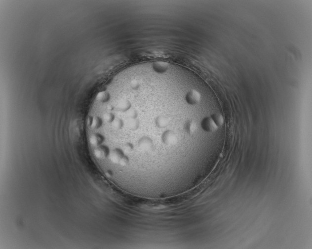 X0000114110747200910191702