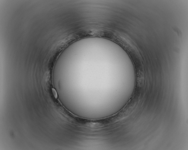 X0000114110748200910191702