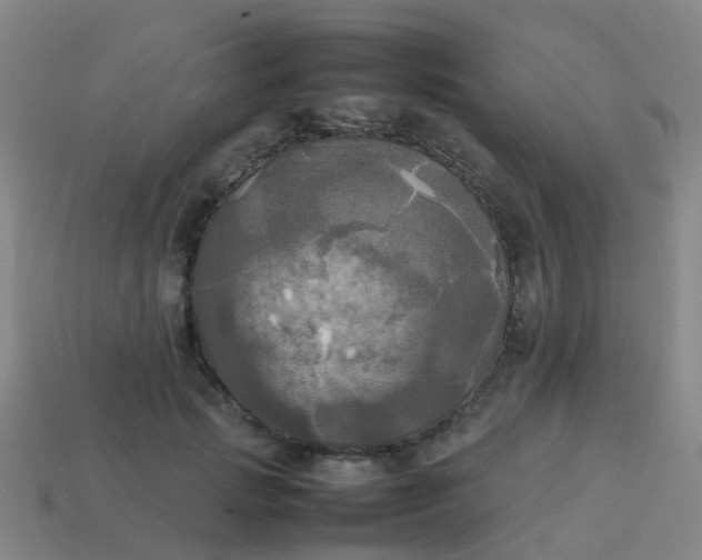 X0000114110749200910191702