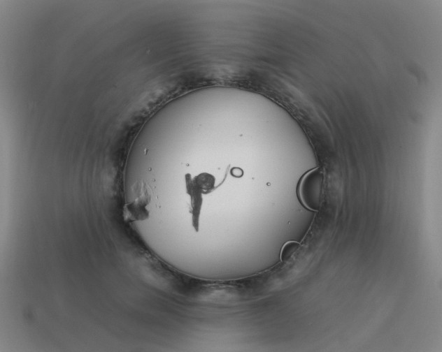 X0000114110750200910191702