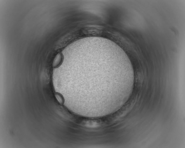 X0000114110751200910191702