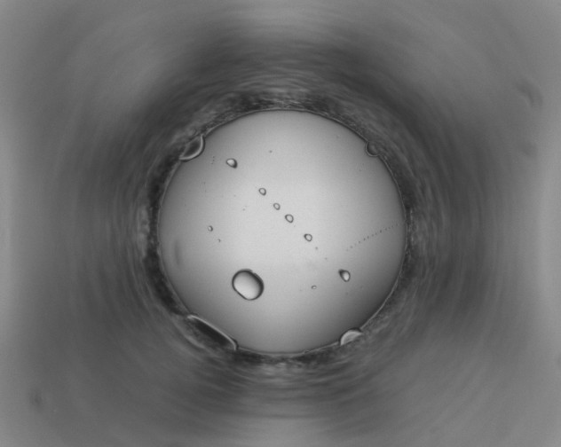 X0000114110752200910191702