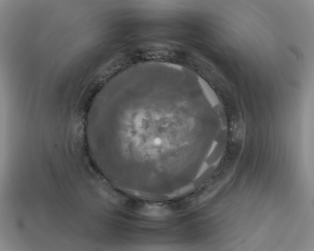 X0000114110753200910191702