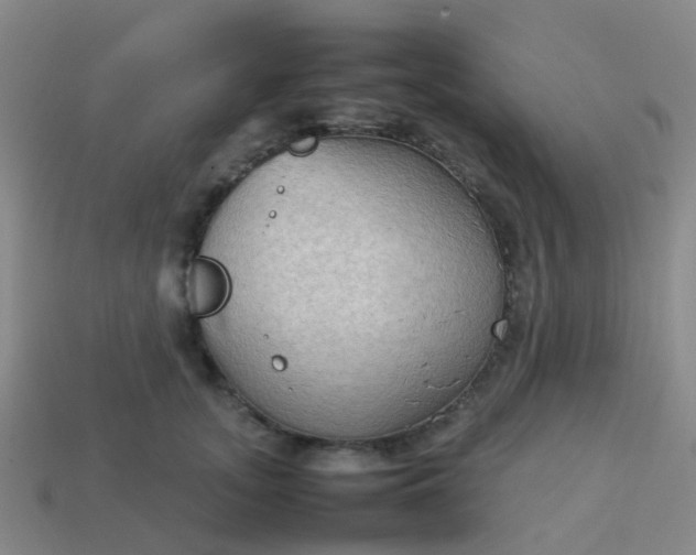 X0000114110755200910191702