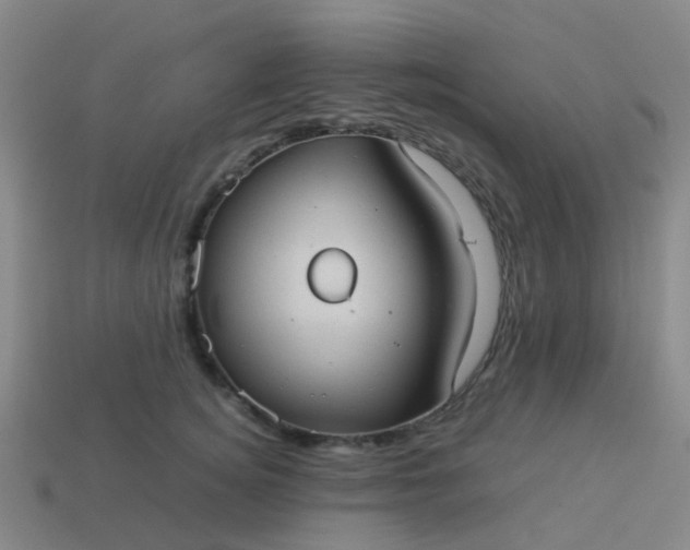 X0000114110756200910191702