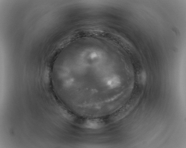 X0000114110757200910191702