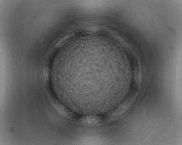 X0000114110758200910191702