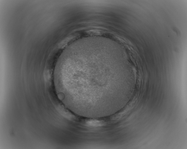 X0000114110759200910191702