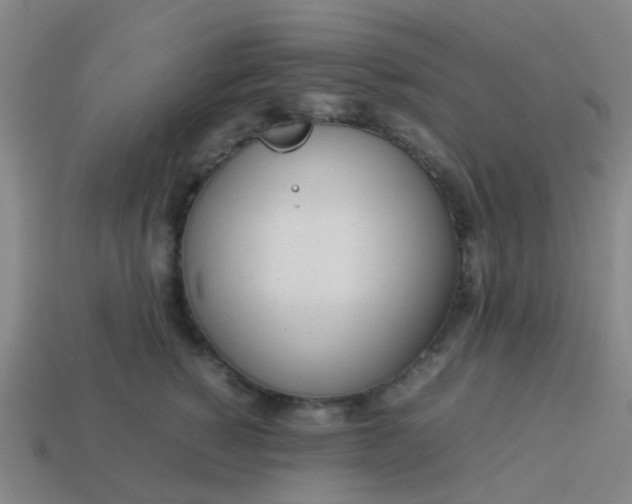 X0000114110760200910191702