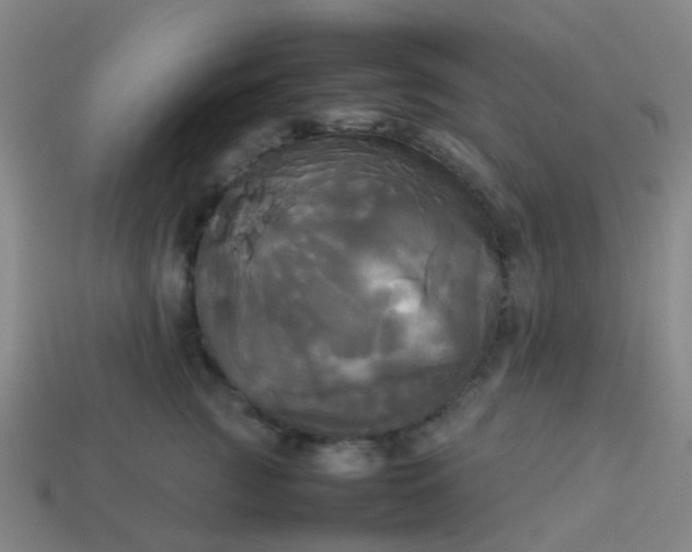 X0000114110761200910191702