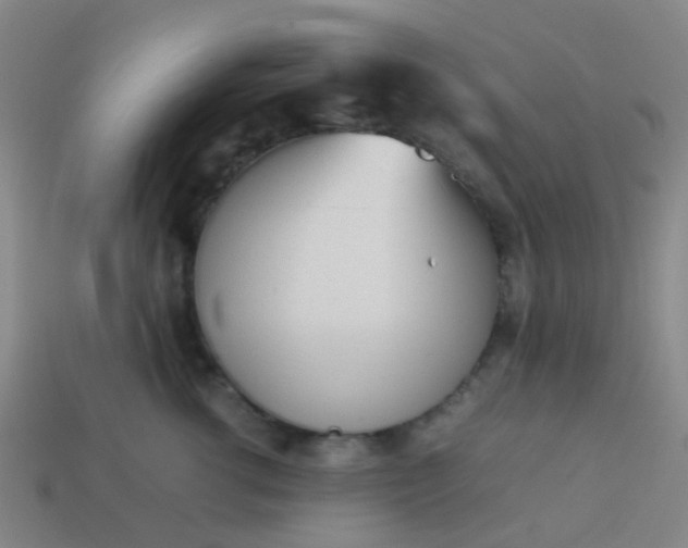 X0000114110762200910191702