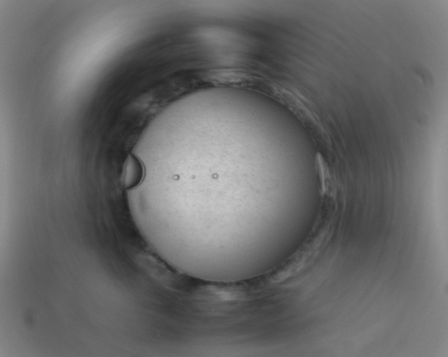 X0000114110763200910191702