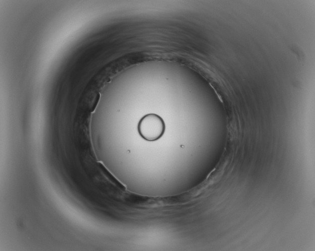 X0000114110764200910191702